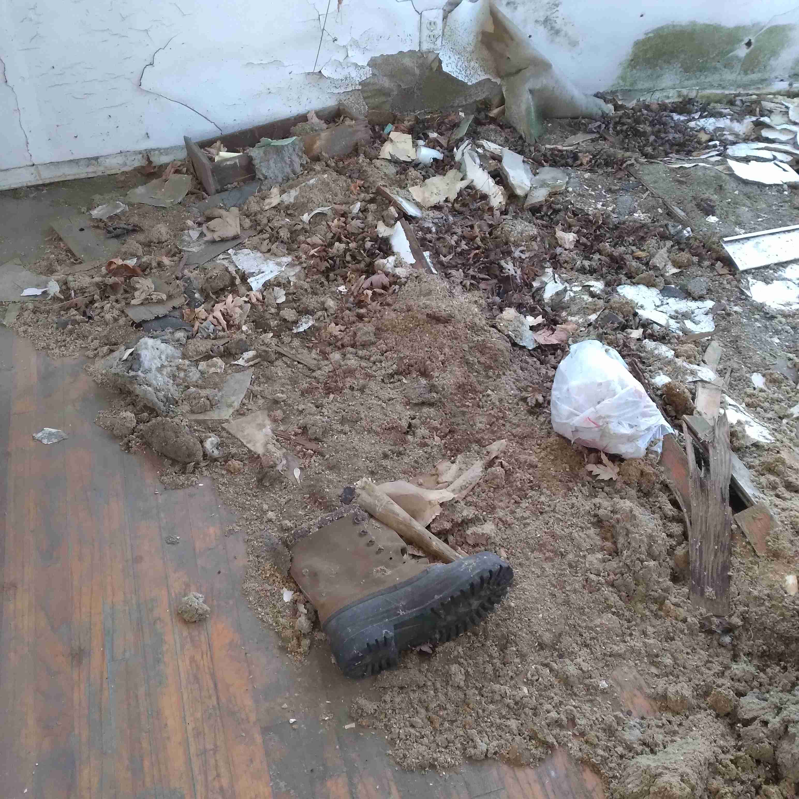 20230124_111803 (1).jpg